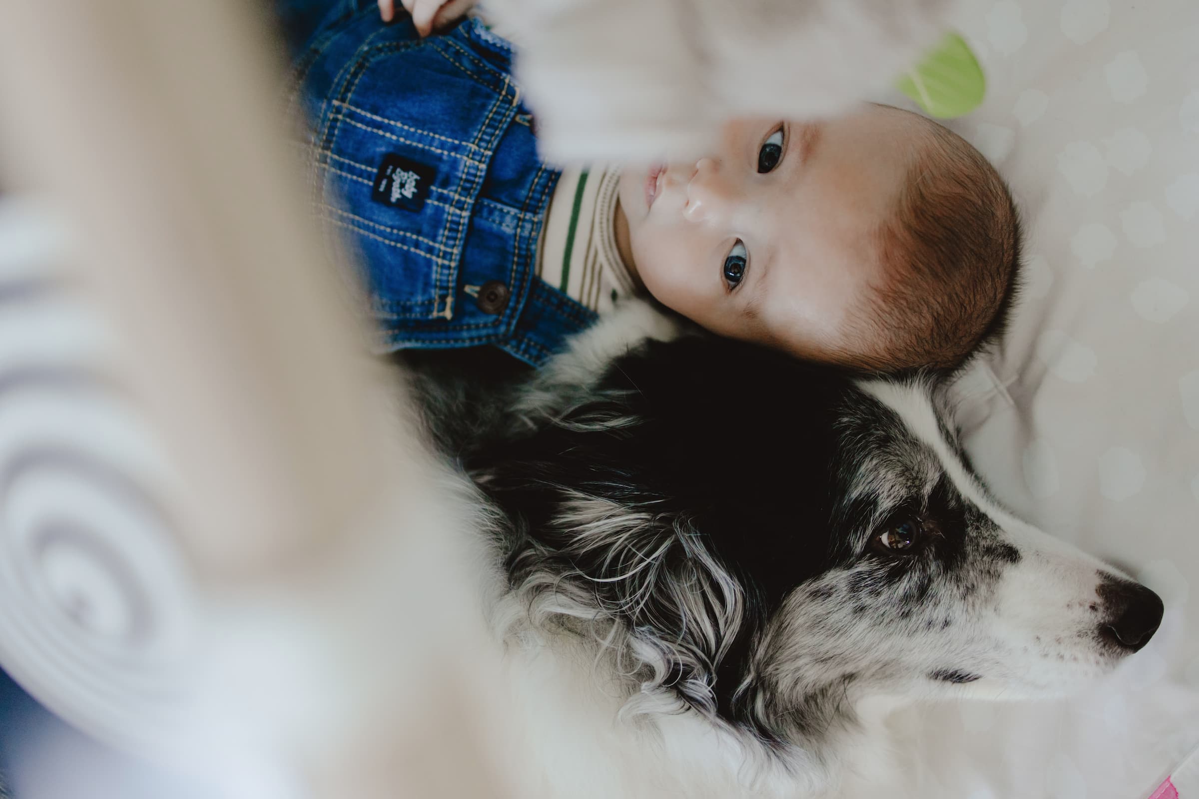 A baby laying on a blanket, with a dog laying up against him.
